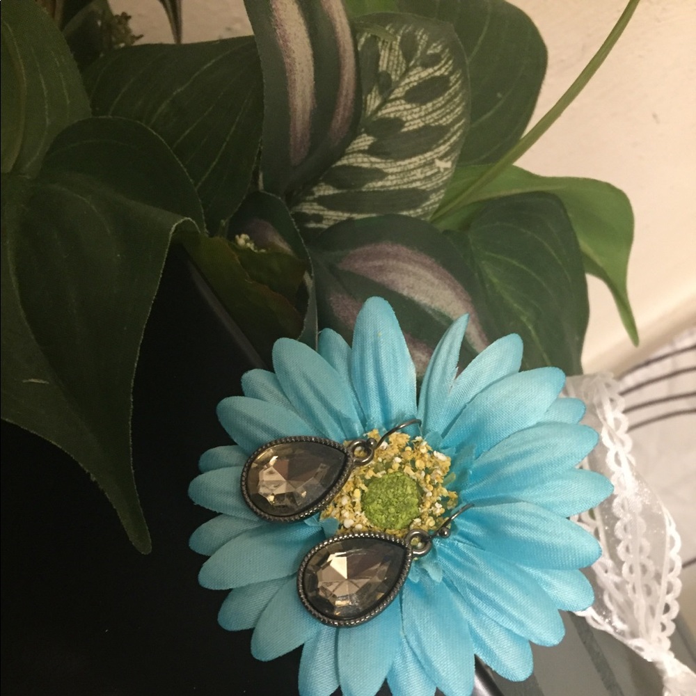 Brown earrings NWOT